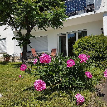 Rauszeit-Toroni Apartman Niedenstein Kültér fotó