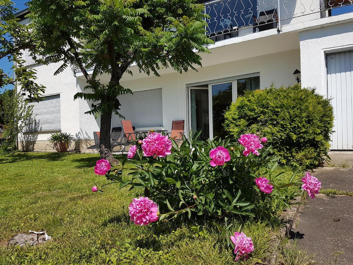 Rauszeit-Toroni Apartman Niedenstein Kültér fotó